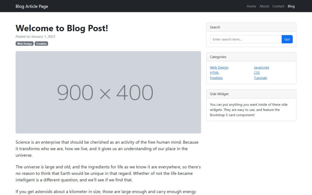 Blog Article Page Template website preview